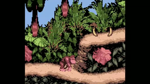 Donkey Kong Country gameplay screenshot